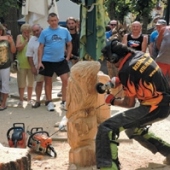 MĚSTO DAČICE: Řezbářské sympozium