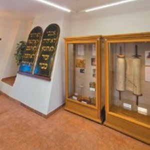 MUZEUM DR. ŠIMONA ADLERA: Vystavená tóra