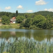 OBEC STRAŠICE: Dvorský rybnik