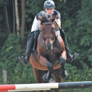 MĚSTO PŘIBYSLAV: Jezdecký den v Přibyslavi - posledný den v srpnu, autor: M.Omes