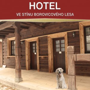 WESTERNOVÉ MĚSTEČKO BOSKOVICE: -