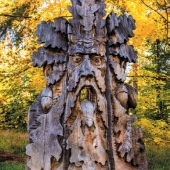 LIBERECKÝ KRAJ : Lesní bytosti - Doksy