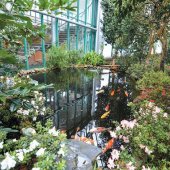 STATUTÁRNÍ MĚSTO LIBEREC: Botanická zahrada