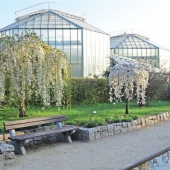 STATUTÁRNÍ MĚSTO LIBEREC: Botanická zahrada - autor: RNDr. M. Studnička