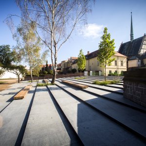 MĚSTO PARDUBICE: Tyršovy sady