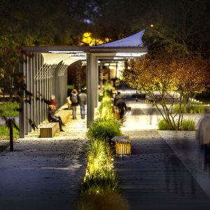 MĚSTO PARDUBICE: Tyršovy sady