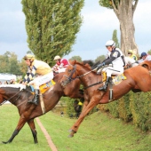 MĚSTO PARDUBICE: Velká pardubická steeplechase
