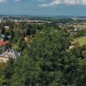 MĚSTO LUŽE: Pohled přes Hamzovo arboretum