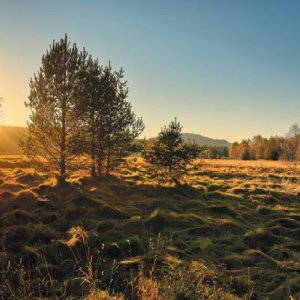 PLZEŇSKÝ KRAJ: Prašily - okolí foto: Libor Sváček