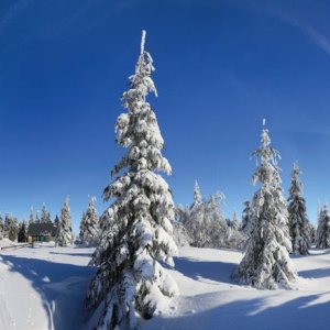 PLZEŇSKÝ KRAJ: Poledník foto: Libor Sváček