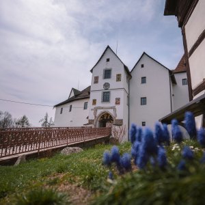 KARLOVARSKÝ KRAJ: Hrad Seeberg (Ostroh)