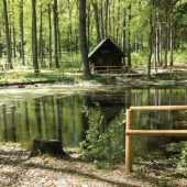 MĚSTO ČESKÁ LÍPA: Hubertova stezka