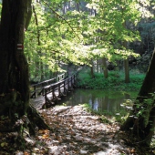 MĚSTO ČESKÁ LÍPA: NPP Peklo