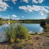 STATUTÁRNÍ MĚSTO MOST: Jezero Benedikt Foto J. Haušild