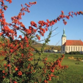 STATUTÁRNÍ MĚSTO MOST: Kostel Nanebevzetí Panny Marie - autor: S. Štýs