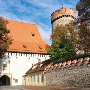 MĚSTO TÁBOR: Bechyňská brána 