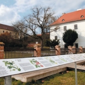 MENDELOVO MUZEUM MASARYKOVY UNIVERZITY