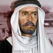 MUZEUM VYŠKOVSKA, p.o.: Exozice k životu a dílu Aloise Musila