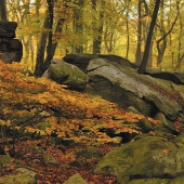 MĚSTO OSEK: Salesiova výšina foto Martin Hozák