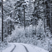 Písecko - Blatensko, TURISTICKÁ OBLAST: krajina Písecka - Blatenska