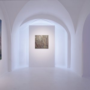 ALŠOVA JIHOČESKÁ GALERIE: Výstava Tomáše Žemly - Defragmentation ve Wortnerově domě v Českých Budějovicích