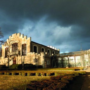 ALŠOVA JIHOČESKÁ GALERIE