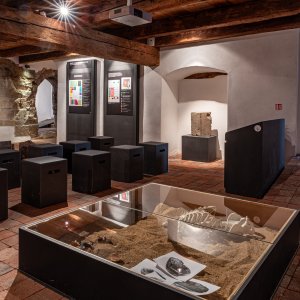 Regionální muzeum v Teplicích: Románská expozice