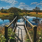 ÚSTECKÝ KRAJ: Krušnohorské molo