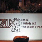 ČZU V PRAZE KOLEJE A MENZA