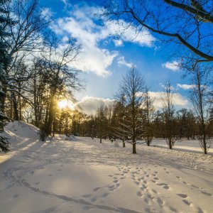 MĚSTSKÝ DŮM KULTURY SOKOLOV: Sokolovský park 