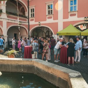 MĚSTSKÝ DŮM KULTURY SOKOLOV: Sokolovské slavnosti vína