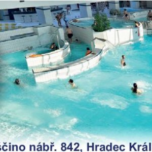 Plavecký bazén Hradec Králové