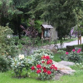 ZOO Jihlava: PARČÍK HOKAIDO