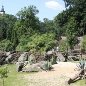 ZOO Jihlava: JIHOAMERICKY VYBEH