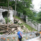 ZOO Jihlava: MALAY MEDAN