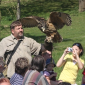 ZOO Jihlava: DRAVCI NAD HLAVAMI
