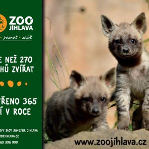 ZOO Jihlava