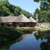 ZOO Jihlava: MATONGO