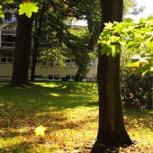 PARKHOTEL Sokolov: -