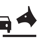 Parkovaní strážené