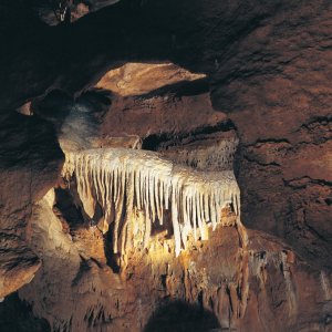 Středočeský kraj: Konepruské jeskyne