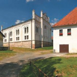 Vysočina: Panorama se synagogou - Židovská čtvrť