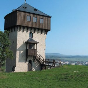 Karlovarský kraj: Hrad Hartenštejn