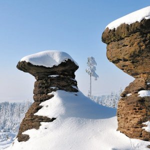 Královehradecký kraj: Skalní hříby