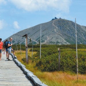 Královehradecký kraj: Pohled na Sněžku
