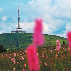 Moravskoslezský kraj: Praděd