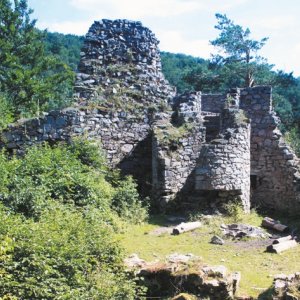 Olomoucký kraj: Zřícenina hradu Rychleby