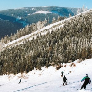 Pardubický kraj: Dolní Morava