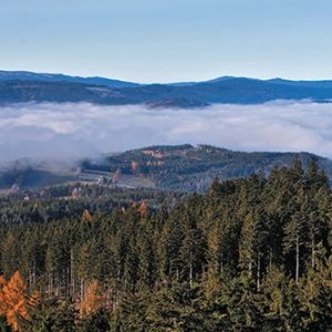 Plzeňský kraj: Hrad Kašperk